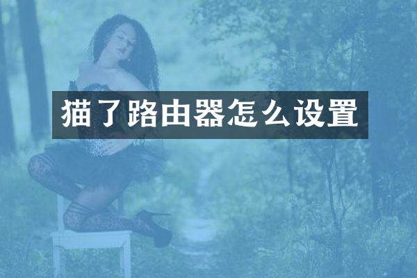 猫了路由器怎么设置