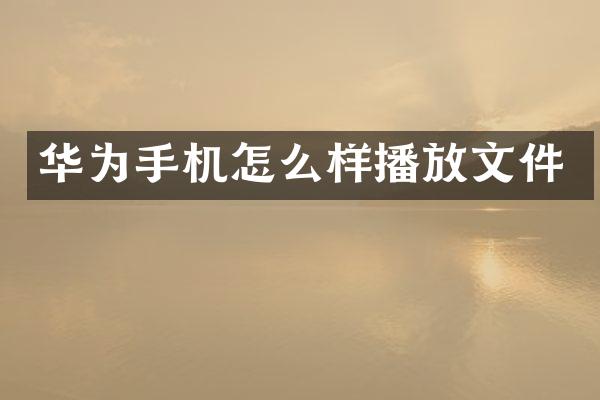 华为手机怎么样播放文件