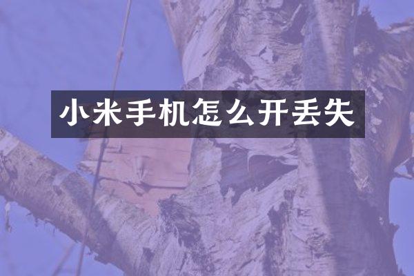 小米手机怎么开丢失