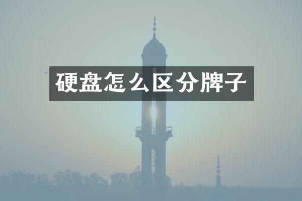 硬盘怎么区分牌子