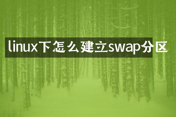 linux下怎么建立swap分区