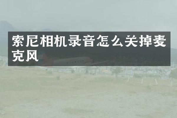 索尼相机录音怎么关掉麦克风