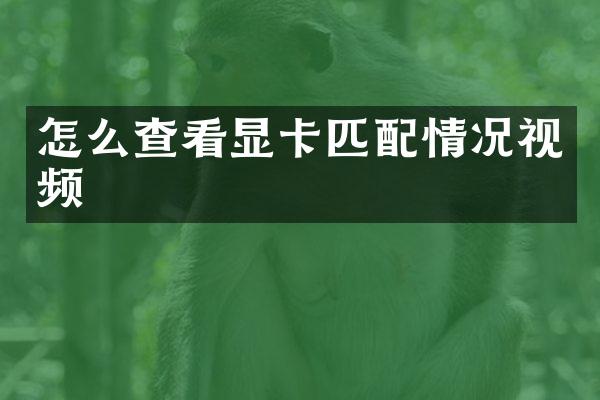怎么查看显卡匹配情况视频