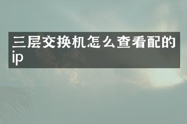三层交换机怎么查看配的ip