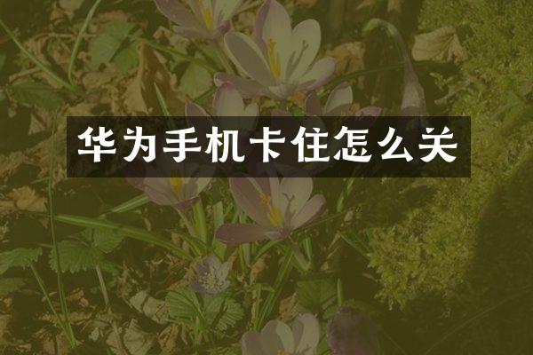 华为手机卡住怎么关