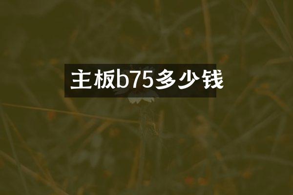 主板b75多少钱