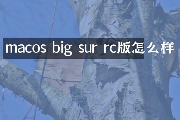 macos big sur rc版怎么样