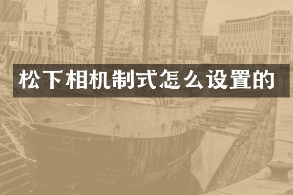 松下相机制式怎么设置的