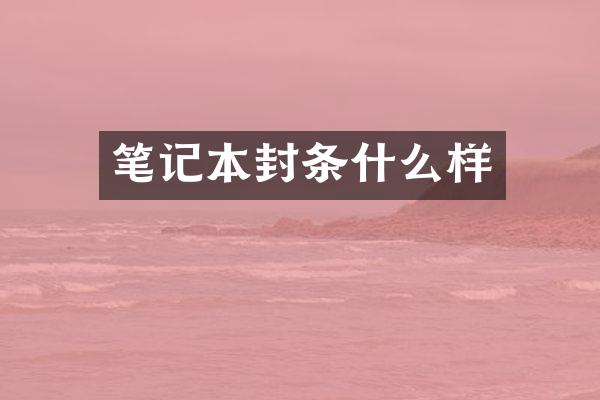 笔记本封条什么样