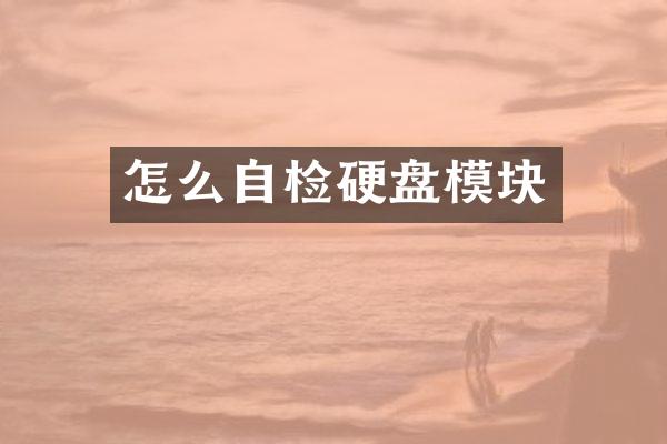怎么自检硬盘模块