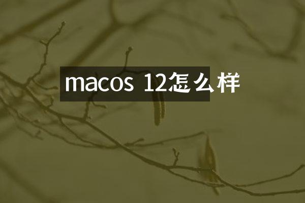 macos 12怎么样