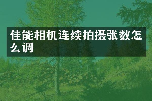 佳能相机连续拍摄张数怎么调