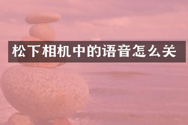 松下相机中的语音怎么关