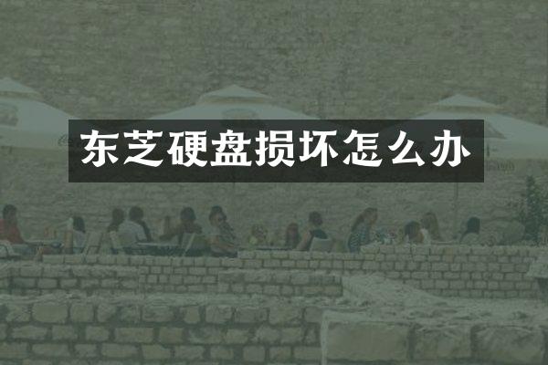 东芝硬盘损坏怎么办