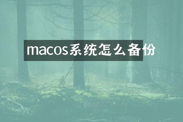 macos系统怎么备份