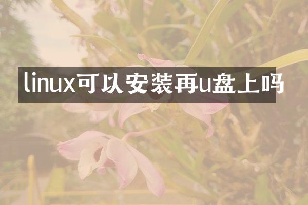 linux可以安装再u盘上吗