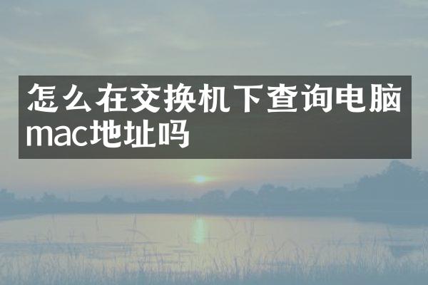 怎么在交换机下查询电脑mac地址吗