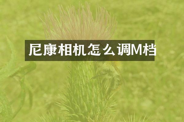 尼康相机怎么调M档