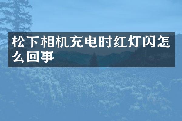 松下相机充电时红灯闪怎么回事