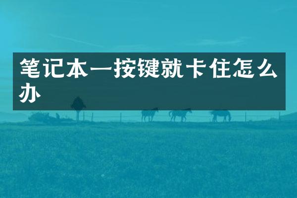 笔记本一按键就卡住怎么办