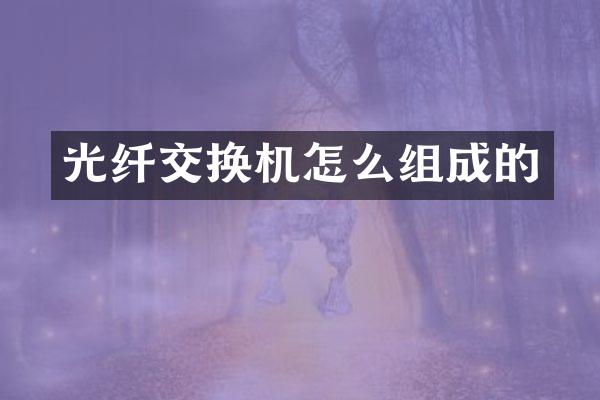 光纤交换机怎么组成的