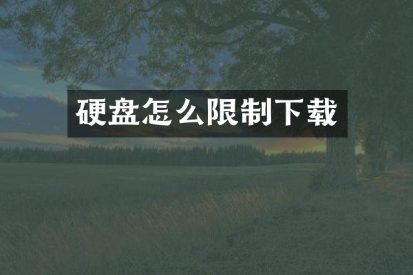 硬盘怎么限制下载