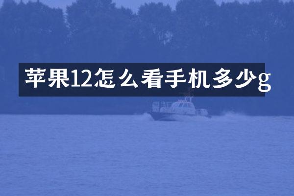苹果12怎么看手机多少g