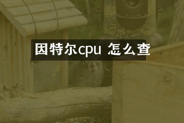 因特尔cpu 怎么查