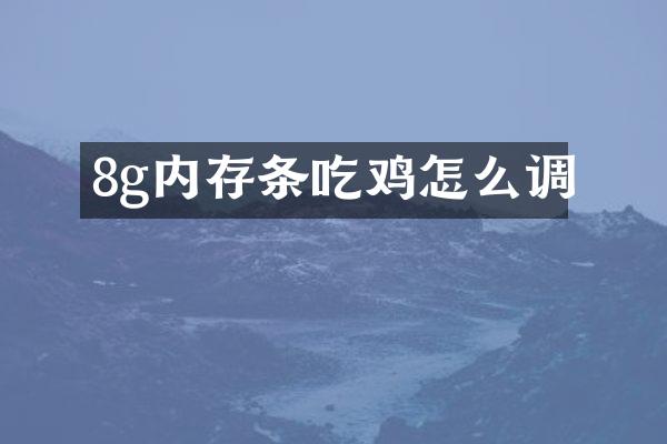 8g内存条吃鸡怎么调