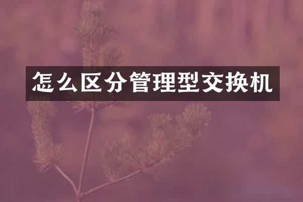 怎么区分管理型交换机