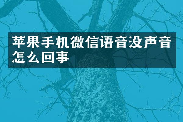 苹果手机微信语音没声音怎么回事