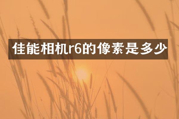 佳能相机r6的像素是多少