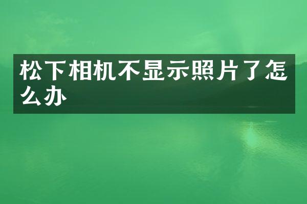 松下相机不显示照片了怎么办