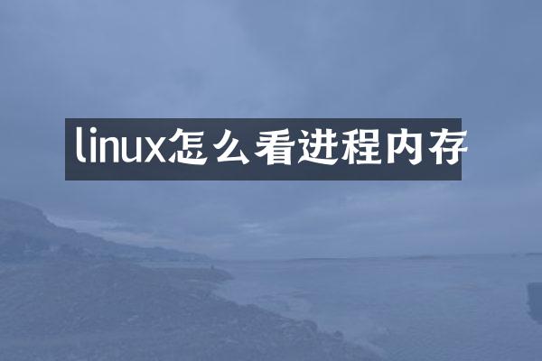 linux怎么看进程内存