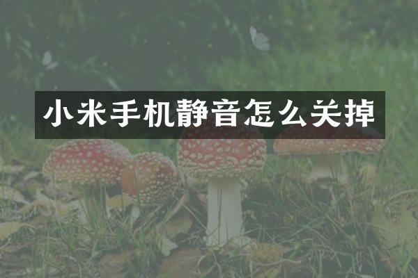 小米手机静音怎么关掉