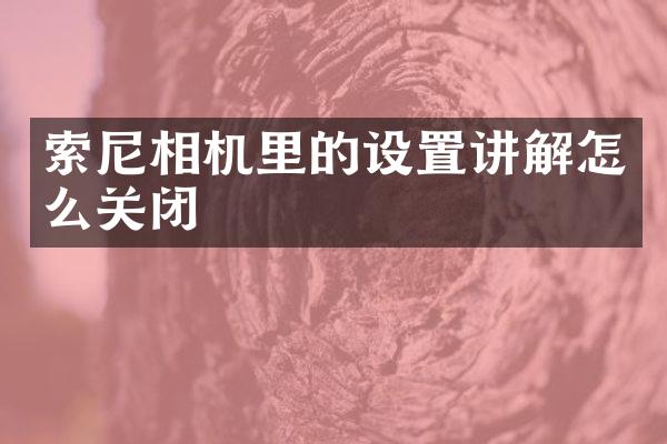 索尼相机里的设置讲解怎么关闭