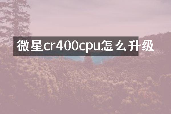微星cr400cpu怎么升级