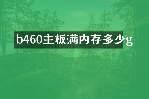 b460主板满内存多少g