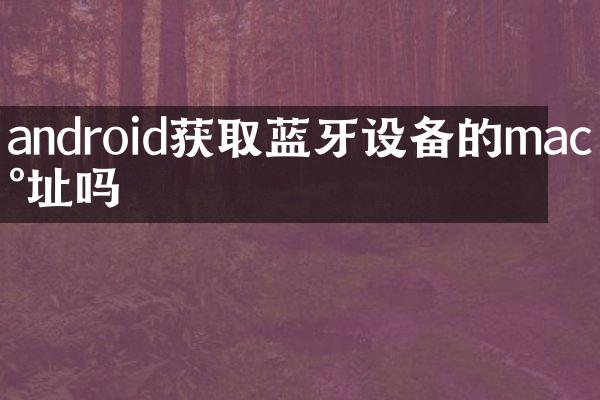 android获取蓝牙设备的mac地址吗