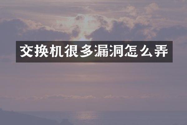 交换机很多漏洞怎么弄