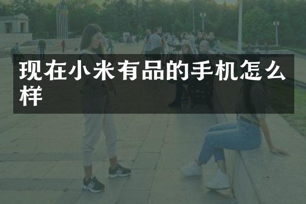 现在小米有品的手机怎么样