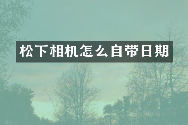 松下相机怎么自带日期