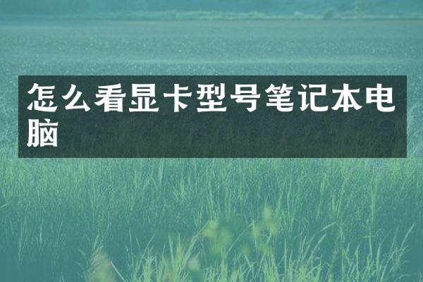 怎么看显卡型号笔记本电脑
