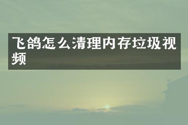 飞鸽怎么清理内存垃圾视频