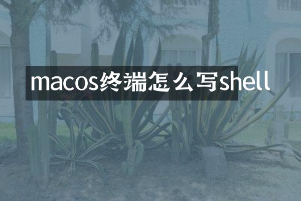 macos终端怎么写shell
