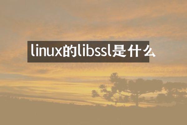 linux的libssl是什么