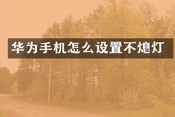 华为手机怎么设置不熄灯
