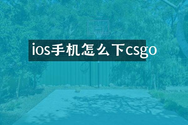 ios手机怎么下csgo