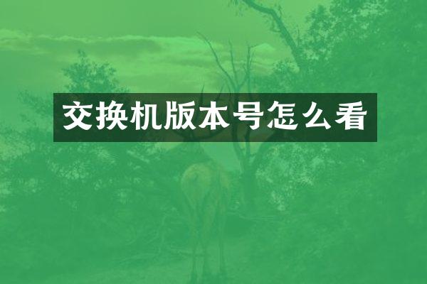 交换机版本号怎么看