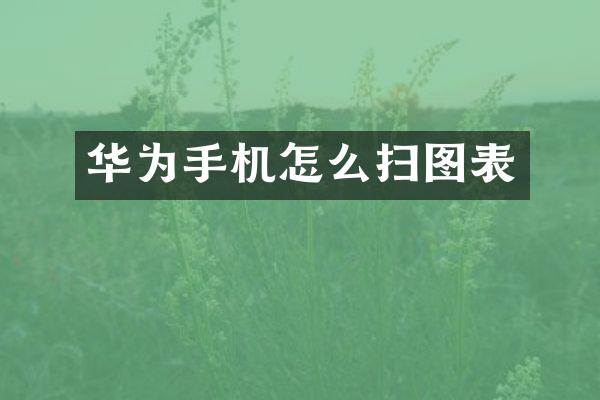 华为手机怎么扫图表